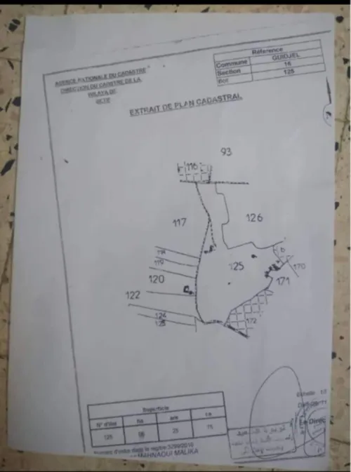 Vente Terrain Sétif Guidjel