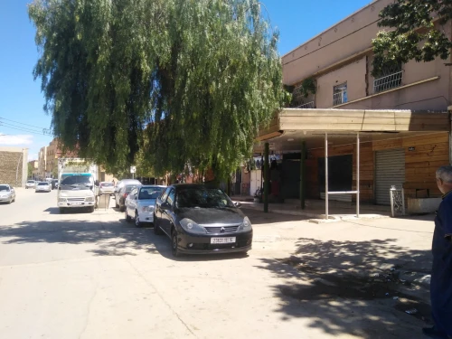 Location Local Saïda Saida