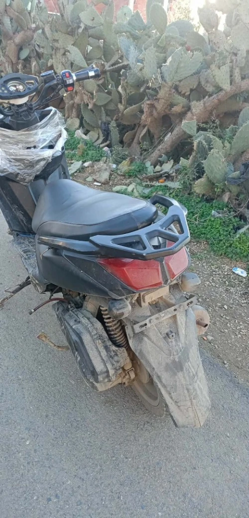 اوكينوا اكتيفيا 2019