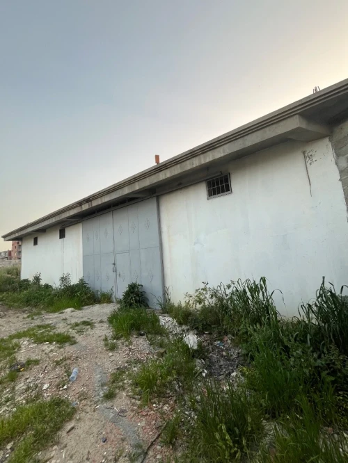 Location Hangar - Usine Alger Les eucalyptus
