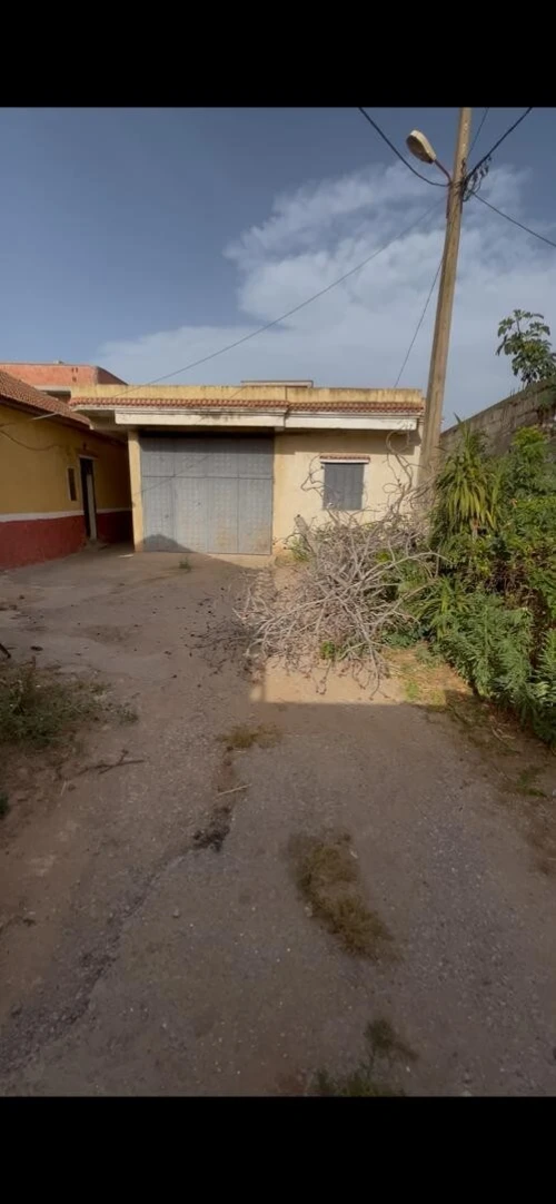 Vente Villa Blida Meftah
