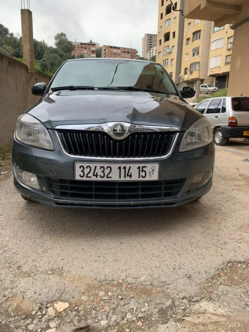 Fabia Skoda 2014 Fresh