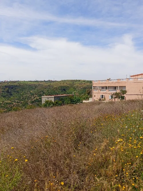 Vente Terrain Tlemcen Dar yaghmouracene
