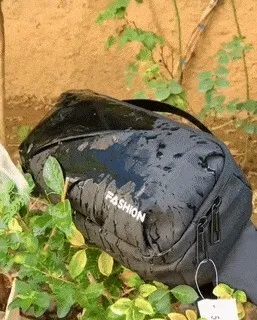 bagage fashion