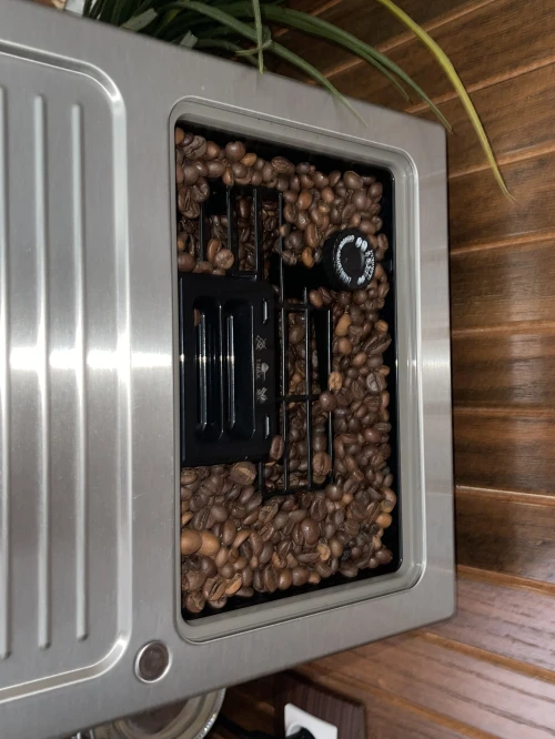 Delonghi Primadonna elite experience