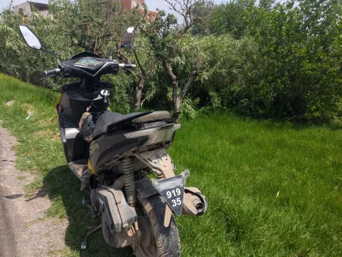 AsMotors A9 SP 2019