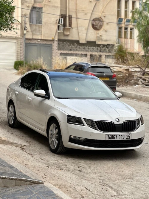 Skoda Octavia 2019 Clever