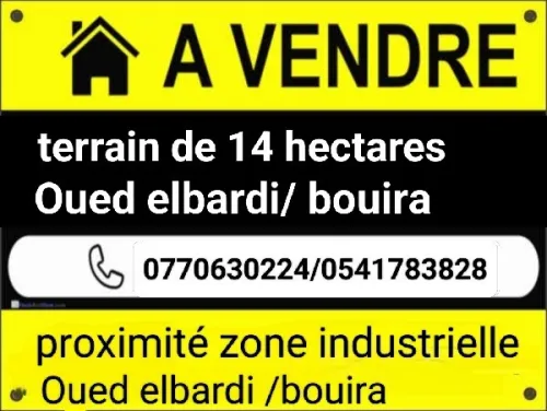 Vente Terrain Bouira Bouira
