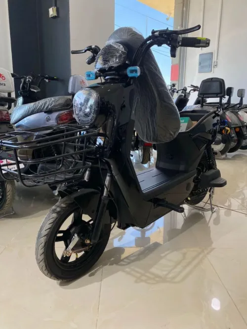 Dora Bleu Pro max 2025