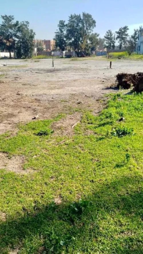 Vente Terrain Alger Reghaia