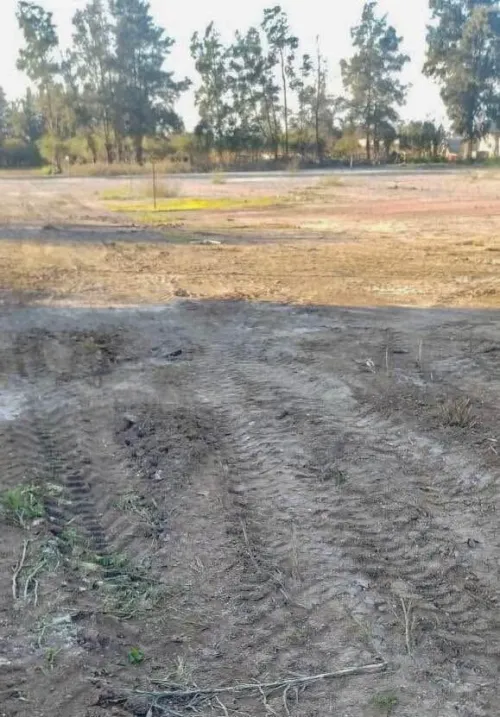 Vente Terrain Alger Reghaia