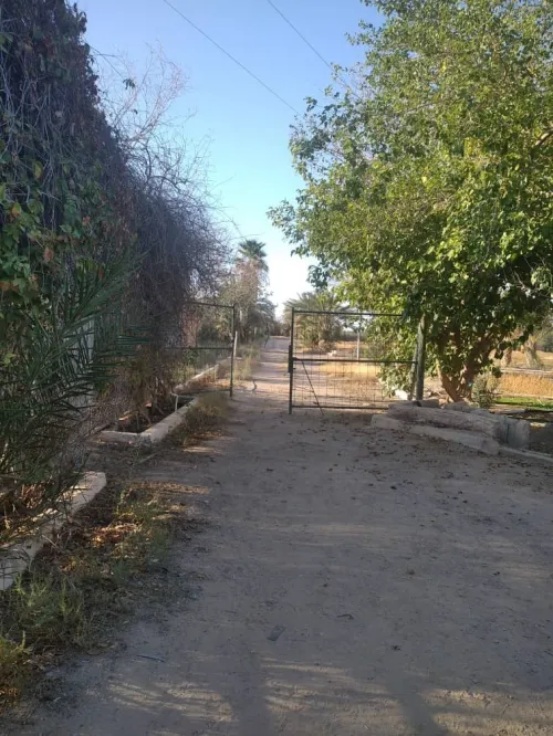 Vente Terrain Agricole M'Sila Bou saada