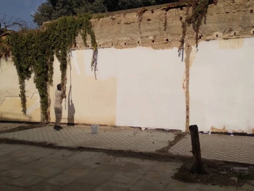 Vente Terrain Tipaza Kolea