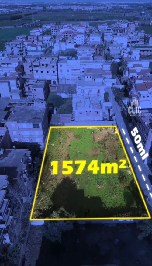 Vente Terrain Blida Meftah