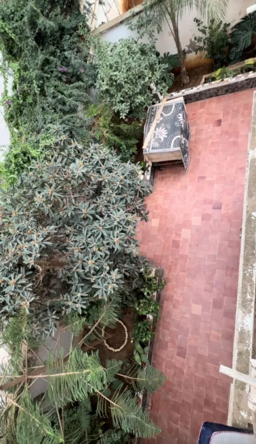 Vente Villa Alger Souidania