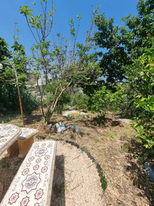 Location Villa Tipaza Sidi ghiles