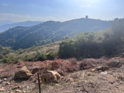 Vente Terrain Bejaia Bejaia