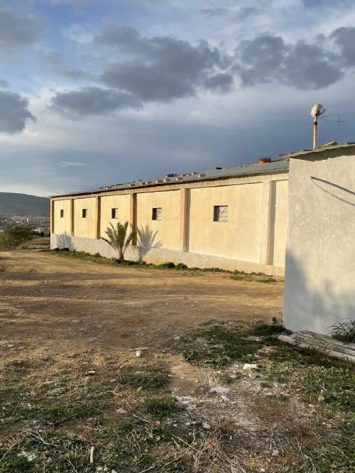 Vente Hangar - Usine Bordj Bou Arreridj Bordj ghedir