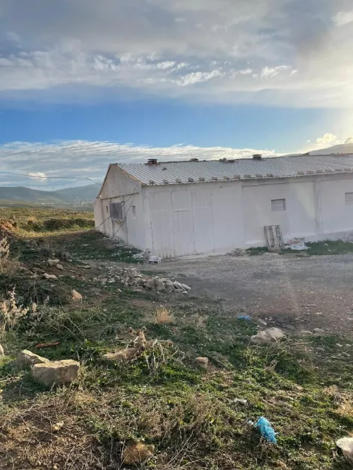 Vente Hangar - Usine Bordj Bou Arreridj Bordj ghedir