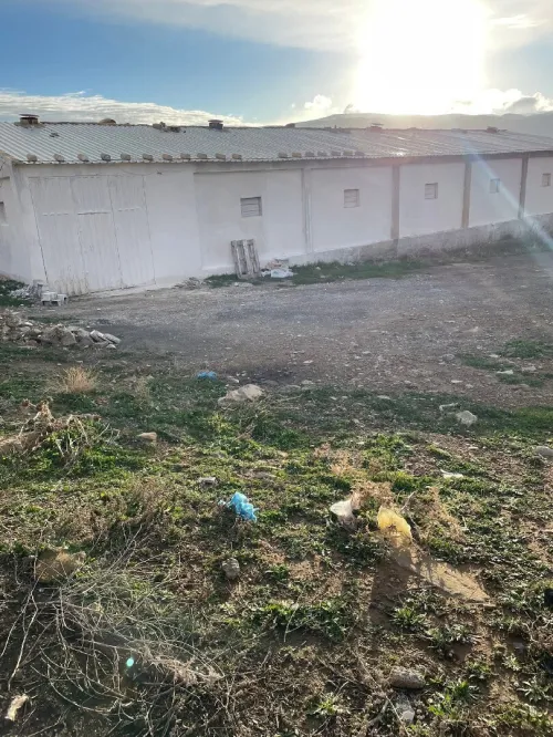 Vente Hangar - Usine Bordj Bou Arreridj Bordj ghedir