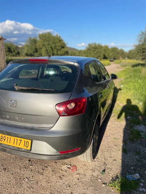Seat Ibiza 2017 Edition 30