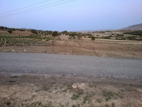 Location Terrain Médéa Berrouaghia