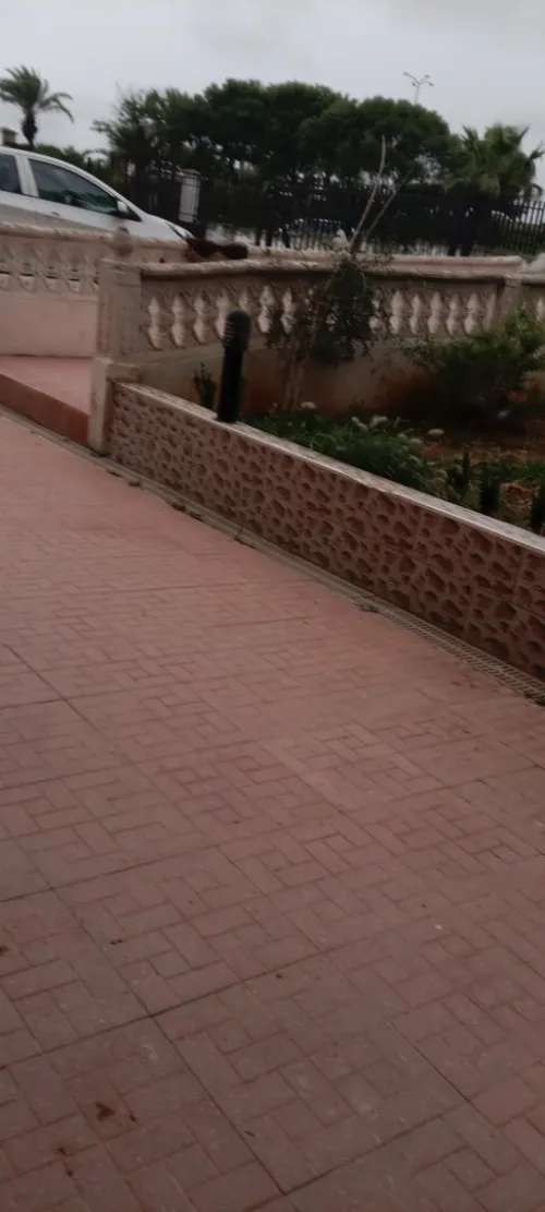 Location Alger Said hamdine