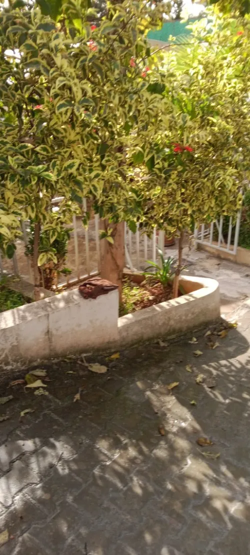 Vente Villa Alger Hydra