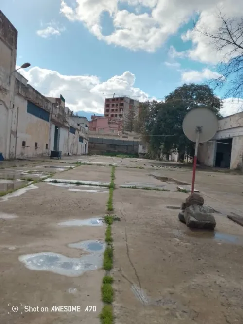 Vente Hangar - Usine Blida Blida