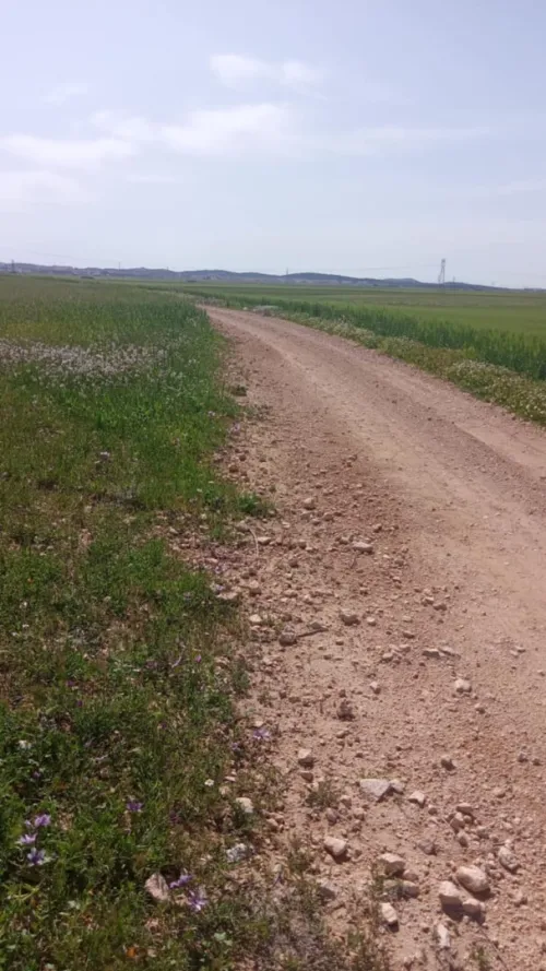 Vente Terrain Oum El Bouaghi Ain beida