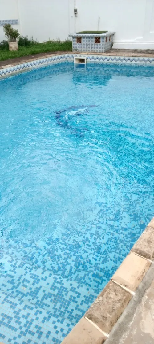 Vente Villa Alger Hydra