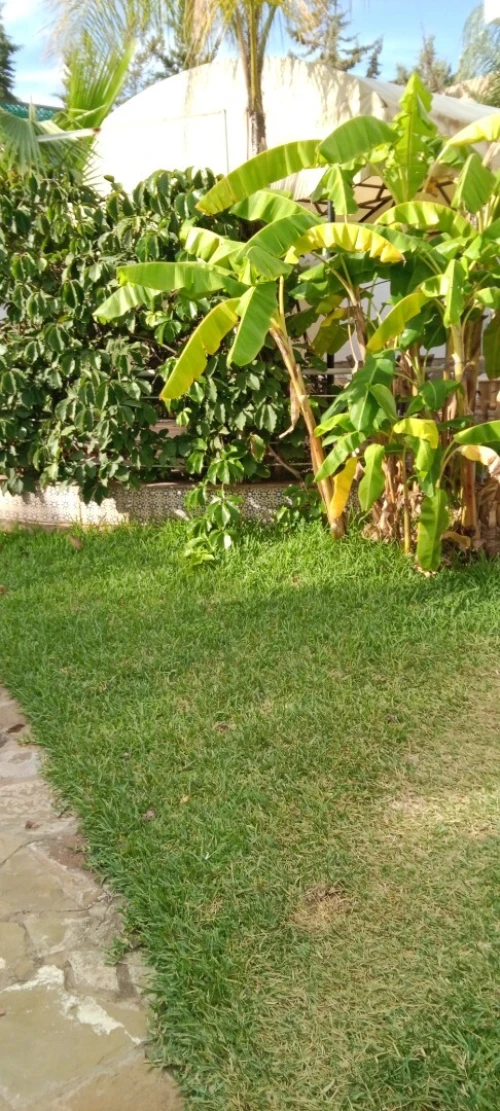 Vente Villa Alger Hydra