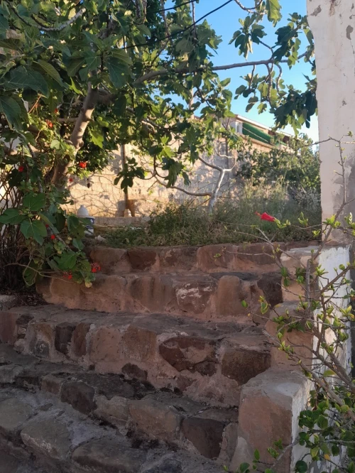 Location vacances Villa Tipaza Tipaza
