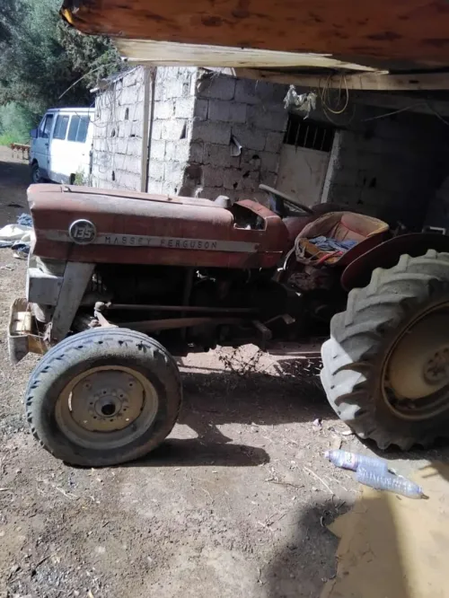 Ferguson Massey 1979
