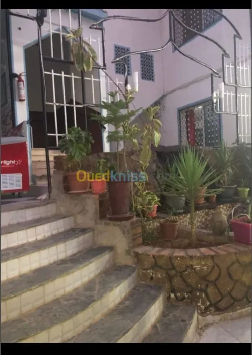 Vente Terrain Agricole Tlemcen Tlemcen