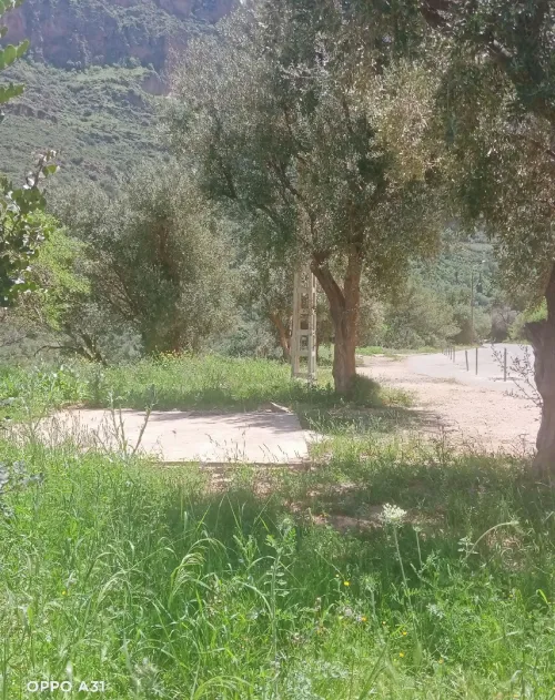 Vente Villa Tlemcen Tlemcen