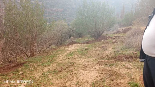 Vente Terrain Agricole Tlemcen Tlemcen