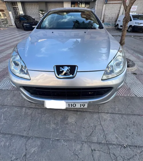 Peugeot 407 2010 407