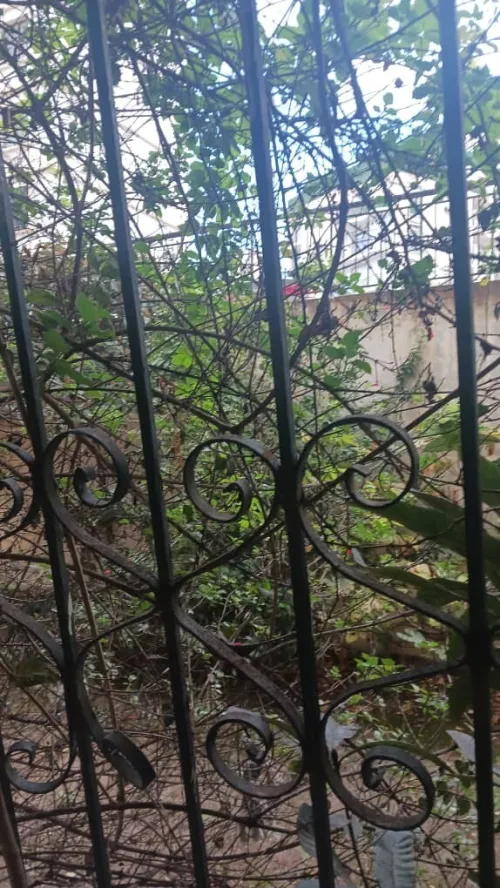 Vente Appartement F4 Alger Hydra