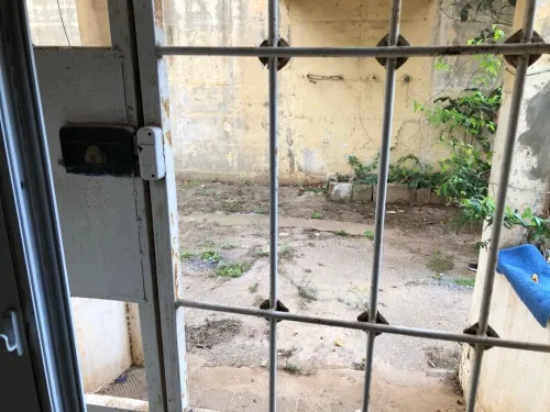 Vente Appartement F4 Alger Hydra