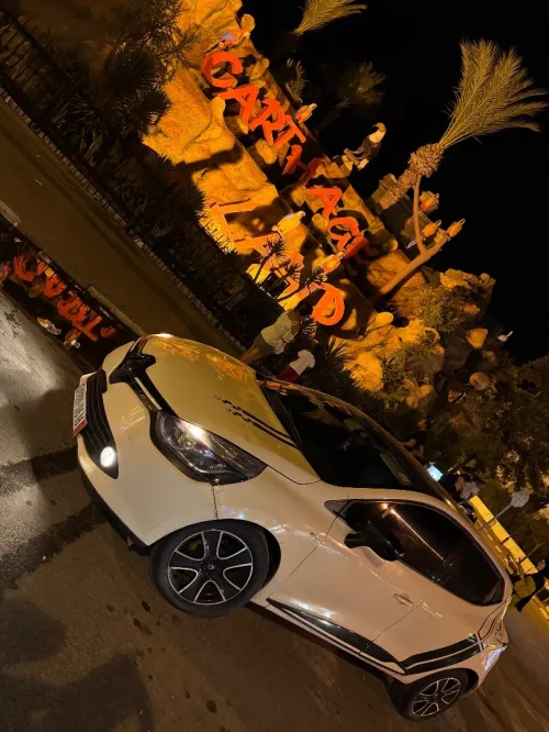 Renault Clio 4 2016 Ivory