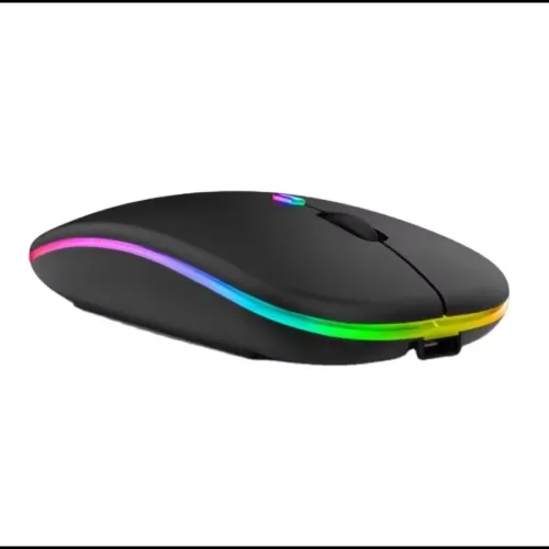 Souris Sans Fil Rechargeable HP W10