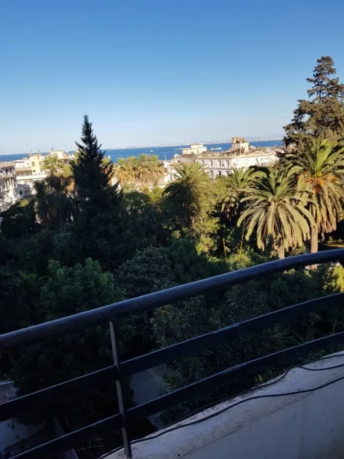 Location Appartement Alger Alger centre