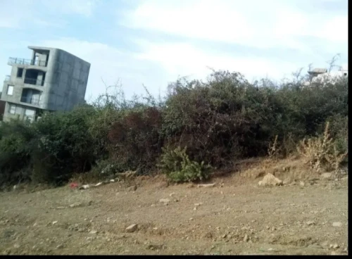 Vente Terrain Jijel El aouana