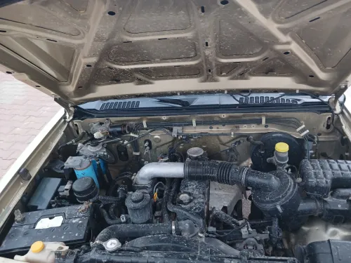Nissan Pickup 2007 Pickup
