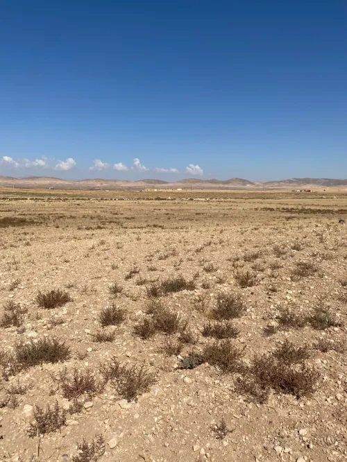 Vente Terrain Agricole Khenchela El mahmal