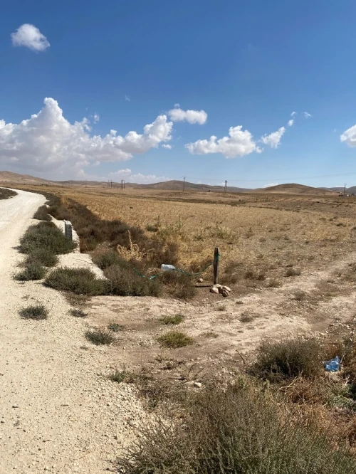Vente Terrain Agricole Khenchela El mahmal