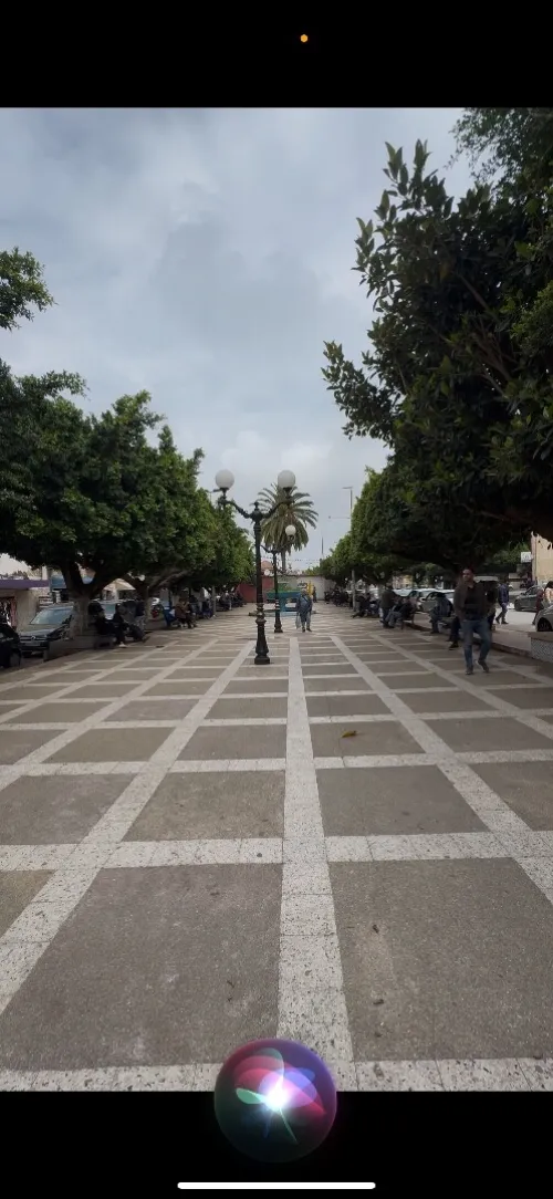 Vente Appartement F3 Alger Cheraga