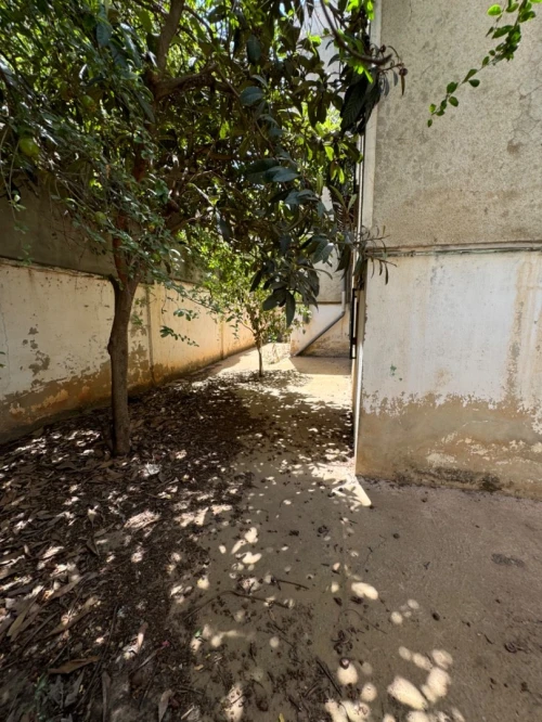 Vente Villa Alger Dely brahim