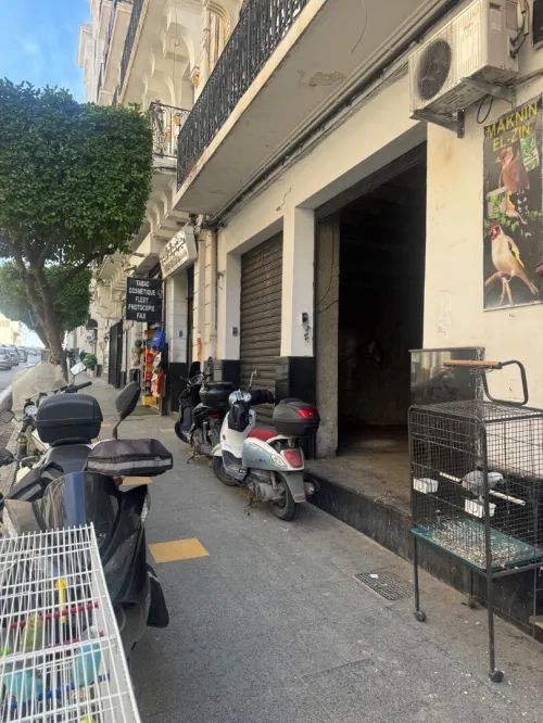 Vente Local Alger Alger centre